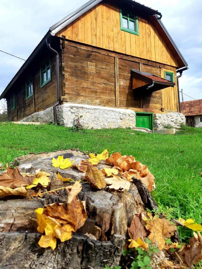 Villa Bakina Iza Duga Resa Exterior foto